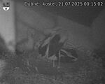 Capi_Dubne_20250721_001502.jpg
