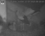 Capi_Dubne_20250721_002003.jpg