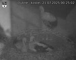 Capi_Dubne_20250721_002502.jpg