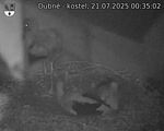 Capi_Dubne_20250721_003502.jpg