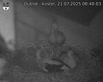 Capi_Dubne_20250721_004003.jpg