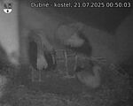 Capi_Dubne_20250721_005003.jpg