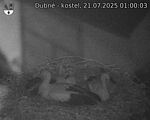 Capi_Dubne_20250721_010003.jpg