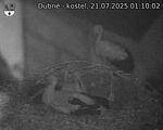 Capi_Dubne_20250721_011002.jpg