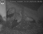 Capi_Dubne_20250721_013002.jpg