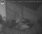 Capi_Dubne_20250721_015003.jpg
