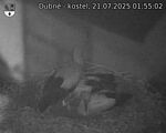 Capi_Dubne_20250721_015502.jpg