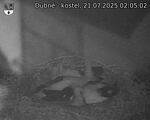Capi_Dubne_20250721_020502.jpg