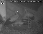 Capi_Dubne_20250721_023002.jpg