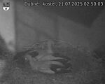 Capi_Dubne_20250721_025003.jpg