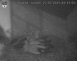 Capi_Dubne_20250721_031503.jpg