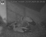 Capi_Dubne_20250721_032502.jpg