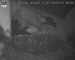 Capi_Dubne_20250721_033003.jpg