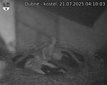 Capi_Dubne_20250721_041003.jpg