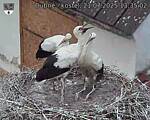 Capi_Dubne_20250721_133502.jpg