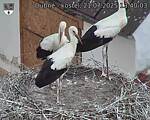 Capi_Dubne_20250721_134003.jpg