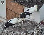 Capi_Dubne_20250721_135502.jpg