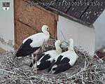 Capi_Dubne_20250721_141502.jpg