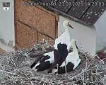 Capi_Dubne_20250721_142003.jpg