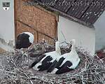 Capi_Dubne_20250721_142502.jpg