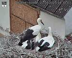 Capi_Dubne_20250721_143003.jpg