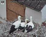 Capi_Dubne_20250721_144003.jpg