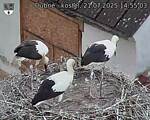 Capi_Dubne_20250721_145503.jpg