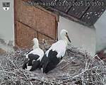 Capi_Dubne_20250721_150503.jpg