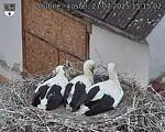 Capi_Dubne_20250721_151502.jpg