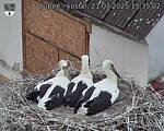 Capi_Dubne_20250721_153502.jpg