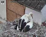 Capi_Dubne_20250721_154502.jpg