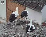 Capi_Dubne_20250721_163502.jpg