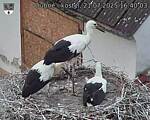 Capi_Dubne_20250721_164003.jpg