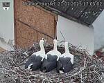 Capi_Dubne_20250721_170502.jpg
