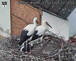 Capi_Dubne_20250721_172002.jpg