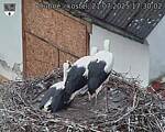 Capi_Dubne_20250721_173002.jpg