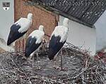 Capi_Dubne_20250721_175502.jpg