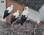 Capi_Dubne_20250721_180003.jpg