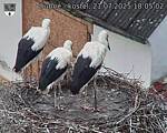 Capi_Dubne_20250721_180502.jpg
