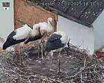 Capi_Dubne_20250721_181002.jpg
