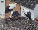 Capi_Dubne_20250721_181503.jpg