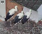 Capi_Dubne_20250721_182002.jpg