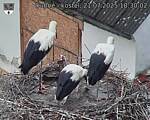 Capi_Dubne_20250721_183002.jpg