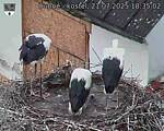 Capi_Dubne_20250721_183502.jpg