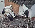 Capi_Dubne_20250721_185502.jpg