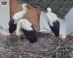 Capi_Dubne_20250721_190003.jpg