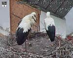 Capi_Dubne_20250721_191002.jpg