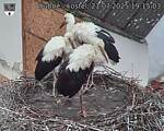 Capi_Dubne_20250721_191503.jpg