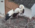 Capi_Dubne_20250721_193002.jpg