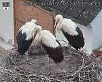 Capi_Dubne_20250721_194003.jpg